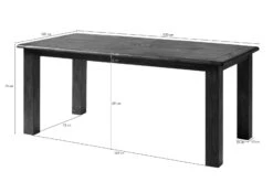 Esstisch Mango 200x100x76 Braun Lackiert RAILWAY -Massivmoebel24 09 110 772 3115 08