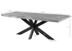 FREEFORM 5 Tavolo Da Pranzo In Legno Di Mango - Verniciato Natur / Gambe Incrociate Argento 220x100 -Massivmoebel24 09 112 844 9125 8