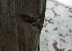 Tavolino Da Salotto In Legno Di Acacia 120x60x45 Grigio Scuro Laccato PURE ACACIA #430 -Massivmoebel24 09 200 886 4030 5