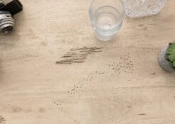 RAILWAY #323 Comò In Legno Di Mango - Laccato / Whitewash 70x45x70 16 RAILWAY #323 Comò In Legno Di Mango - Laccato / Whitewash 70x45x70 -Massivmoebel24 09 312 772 2021 6