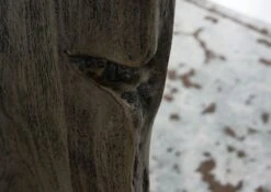 Mobile TV In Legno Di Acacia 220x45x50 Grigio Scuro Laccato PURE ACACIA #904 -Massivmoebel24 09 313 886 9004 6