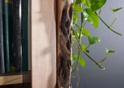 Vetrina In Legno Di Acacia 105x45x204 Acacia Naturale Laccato PURE ACACIA #711 10 Vetrina In Legno Di Acacia 105x45x204 Acacia Naturale Laccato PURE ACACIA #711 -Massivmoebel24 09 320 886 7011 4