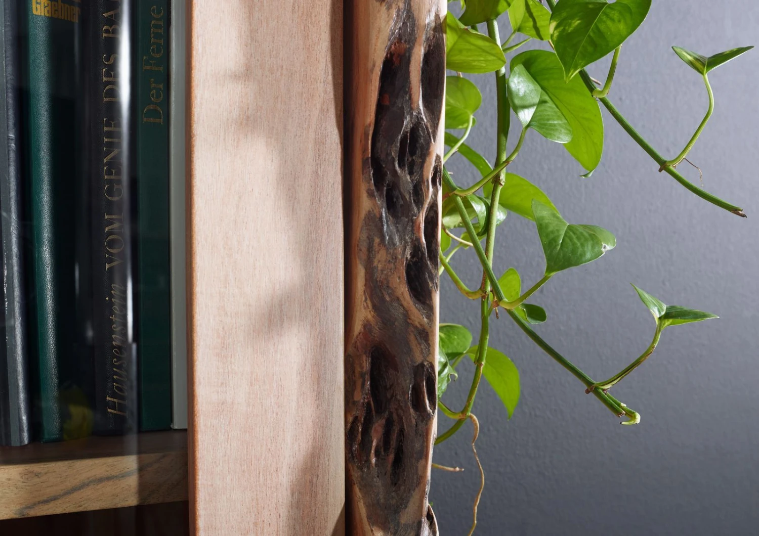 Vetrina In Legno Di Acacia 105x45x204 Acacia Naturale Laccato PURE ACACIA #711 6 Vetrina In Legno Di Acacia 105x45x204 Acacia Naturale Laccato PURE ACACIA #711 - immagine 4