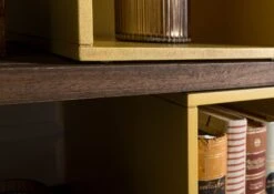 CHICAGO #111 Scaffale In Legno Di Mango - Oliato / Marrone 111x40x193 15 CHICAGO #111 Scaffale In Legno Di Mango - Oliato / Marrone 111x40x193 -Massivmoebel24 09 350 695 1011 5