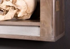 SYDNEY #209 Mensola In Legno Di Sheesham - Laccato / Smoked Oak 150x22x20 -Massivmoebel24 09 350 778 0109 4