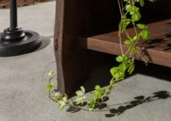 Scaffale In Legno Di Acacia 81x45x204 Marrone Laccato PURE ACACIA #206 -Massivmoebel24 09 350 886 2006 5