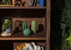 Scaffale In Legno Di Acacia 81x45x204 Marrone Laccato PURE ACACIA #206 -Massivmoebel24 09 350 886 2006 6