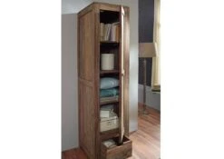 NATURE GREY #98 Armadio In Legno Di Shesssham - Oliato / Grigio 48x60x200 12 NATURE GREY #98 Armadio In Legno Di Shesssham - Oliato / Grigio 48x60x200 -Massivmoebel24 09 618 550 0098 4