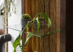 BARK #204 Mobile Pensile In Legno Di Acacia Laccato / Marrone 45x30x145 -Massivmoebel24 33 320 406 0204 5