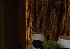 BARK #203 Armadio In Legno Di Acacia Laccato / Marrone 88x40x180 -Massivmoebel24 33 340 406 0203 4