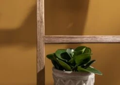 BASSANO #134 Scala Decorativa In Legno Grezzo Di Teak Riciclato - Naturale 50x5x180 -Massivmoebel24 54 900 720 0005 5