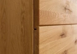 KITZBÜHEL #103 Vetrina In Legno Di Quercia Selvatica - Laccato Oliato / Naturale 50x43,5x204 18 KITZBÜHEL #103 Vetrina In Legno Di Quercia Selvatica - Laccato Oliato / Naturale 50x43,5x204 -Massivmoebel24 67 320 420 1003 07